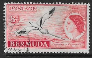 Bermuda 153: 8d White-tailed Tropicbird (Phaethon lepturus), used, F