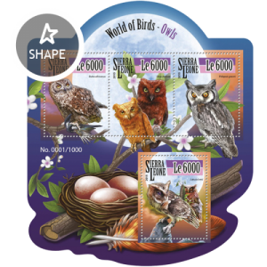 SIERRA LEONE 2015 SHEET OWLS BIRDS srl15503a