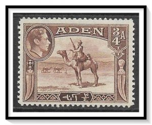 Aden #17 Camel Corpsman NG