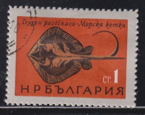 Bulgaria 1403 Fish of the Black Sea - Sting Ray 1965