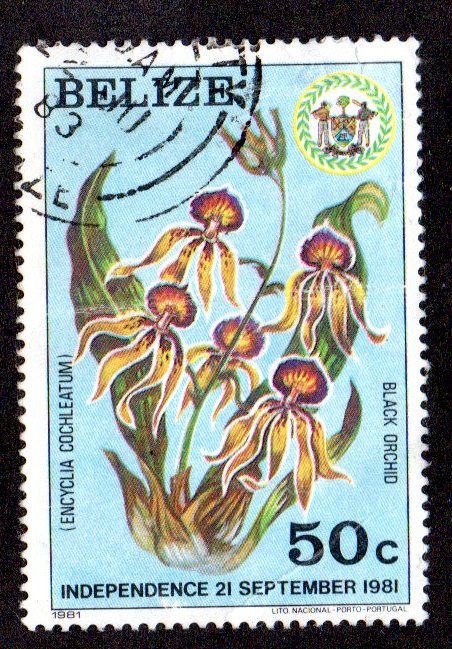 BELIZE 596 USED SCV $12.50 BIN $5.00 FLOWERS