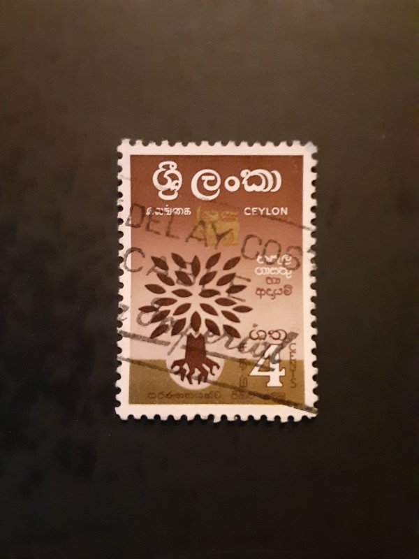 +Ceylon #360u