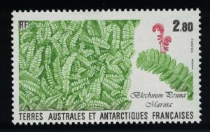 FSAT TAAF Alpine water fern 'Blechnum penna marina' 1989 MNH SG#246 MI#254