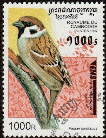 Cambodia 1600  - Cto - 1000r Eurasian Tree Sparrow (1997)