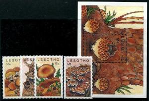 HERRICKSTAMP LESOTHO Sc.# 722-25 Mushrooms Stamps