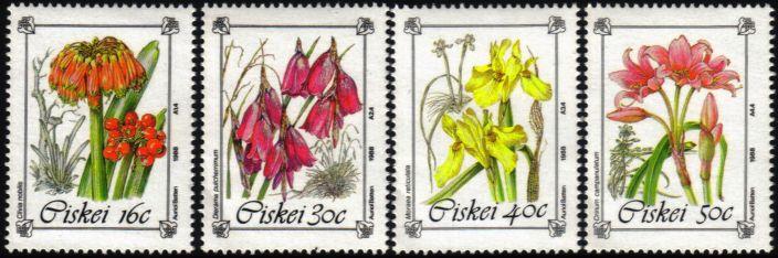 Ciskei - 1988 Protected Flowers Set MNH** SG 123-126