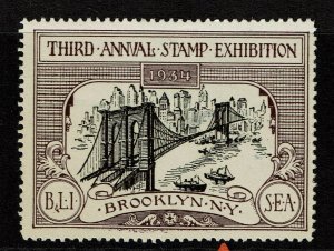 Third Annual Stamp Exhibition, 1934, lg hinge thin - S14017