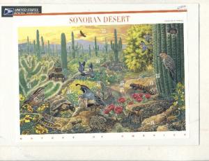 3293 US Stamps of Sonoran Desert
