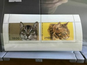 Cats   mint never hinged  stamps sheet R25383 