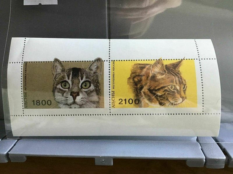 Cats   mint never hinged  stamps sheet R25383 