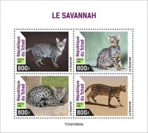 Chad - 2021 Savannah Cat on Stamps - 4 Stamp Sheet - TCH210503a 