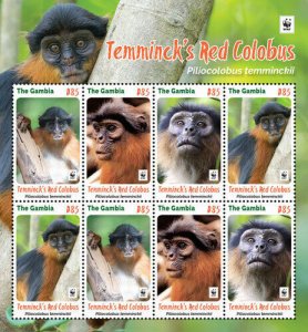 Gambia 2016 - Temminck's Red Colobus Monkey - Sheet of 8 - Scott 3725a - MNH