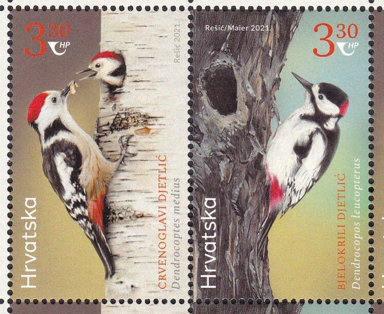 Croatia, Fauna, Birds MNH / 2021