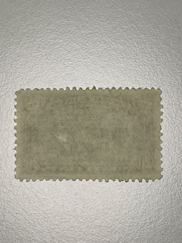 1925 20 cent Black special delivery stamp