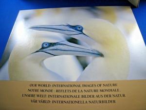 OUR WORLD: INTERNATIONAL IMAGES OF NATURE - 6 POSTAL ADMINISTRATIONS   (brig)