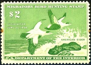 U.S. #RW24 MINT OG NH Toned perf