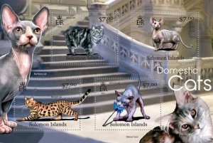 SOLOMON IS.- 2013 - Cats of the Solomons - Perf 4v Sheet - Mint Never Hinged