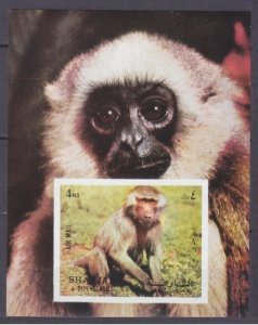 1972 Sharjah 1017/B117b Fauna - Monkeys 5,50 €