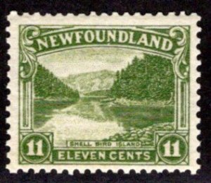 132, NSSC, Newfoundland, 11¢ Shell Bird Island, MNHOG, F/VF, Scott 140