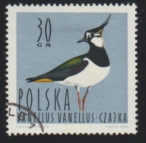 Poland 1231 Lapwing