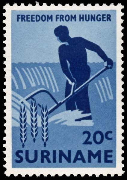 Suriname - Scott 311 - Mint-Never-Hinged