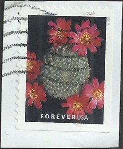 # 5351 Used Cactus Flowers