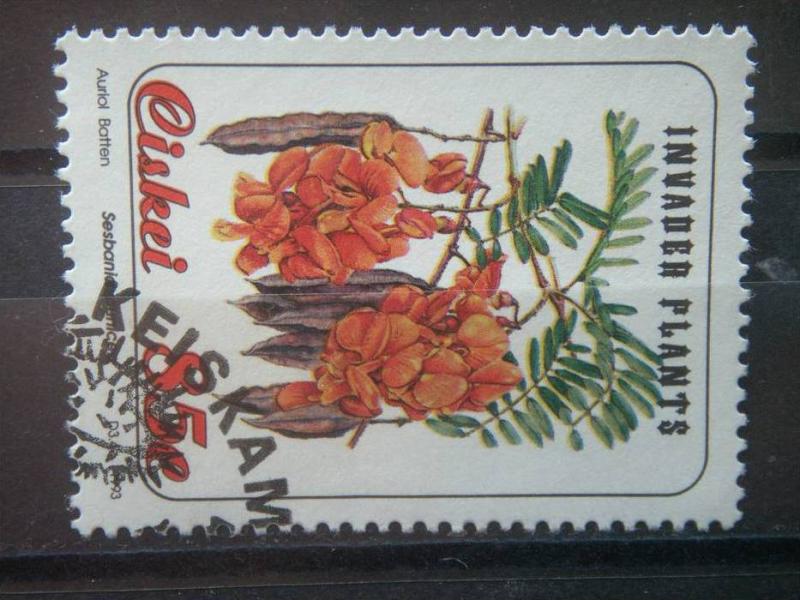 CISKEI, 1993, CTO 85c, Invader Plants, Scott 219