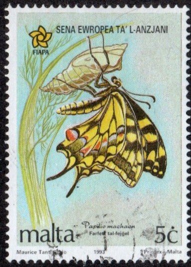 Malta 823 - Used - 5c Old World Swallowtail (1993) (cv $0.60)