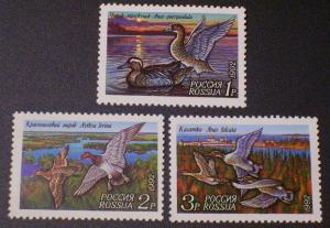 Russia Scott #6090-6092 mnh