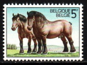 Belgium #950   MNH