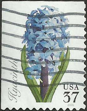 # 3900 USED HYACINTH