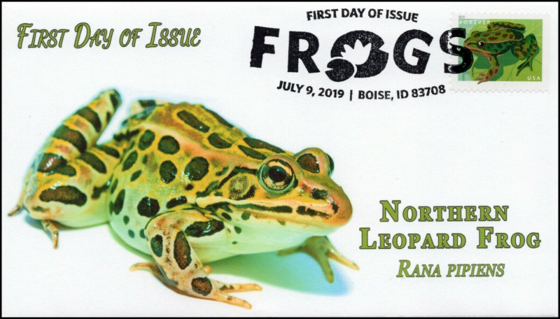 19-178, 2019, Frogs, Pictorial Postmark, First Day Cover, Northern Leopard Frog