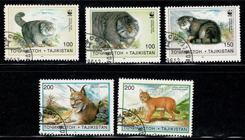 Tajikistan #92-3,95-7 wildcats CTO