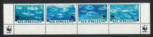 Bermuda WWF Atlantic Bluefin Tuna Bottom Strip of 4v WWF Logo 2004 MNH