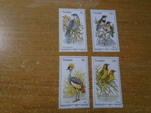 South Africa  Transkei  #  79-82   MNH  Birds