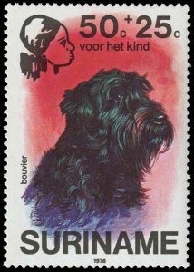 Suriname - Scott B235 - Mint-Never-Hinged