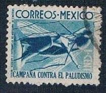 Mexico Malaria 1 - wysiwyg (MP7R204)