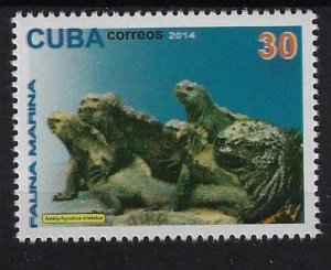 CUBA Sc# 5571  MARINE LIFE   fish   30c  2014  MNH mint