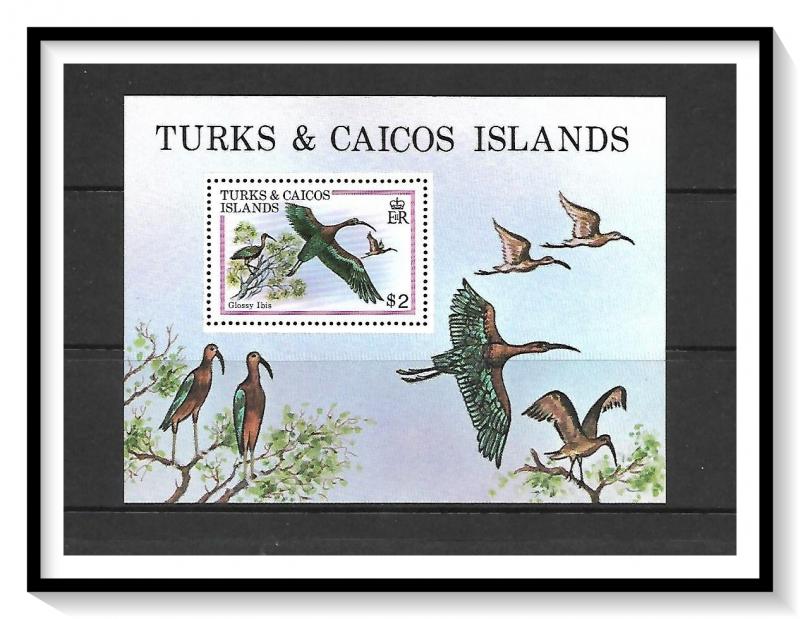 Turks & Caicos #430 Birds Souvenir Sheet MNH