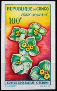 [67225] Congo Brazzaville 1963 Flora Flowers Blumen Imperf. Airmail MNH