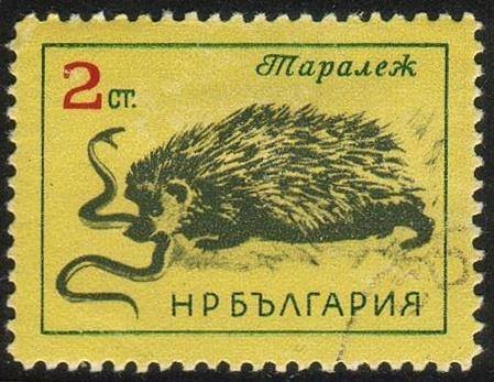 Bulgaria#1262 - Hedgehog - MH - (Bu042)