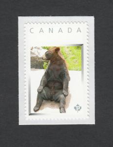 BLACK BEAR = SUNBATH = picture postage stamp MNH Canada 2013 [p3w7/2]