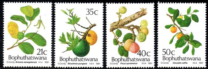 Bophuthatswana - 1991 Edible Wild Fruit Set MNH** SG 252-255