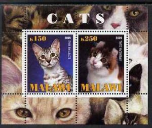 MALAWI - 2009 - Cats #1 - Perf 2v Sheet - MNH - Private Issue