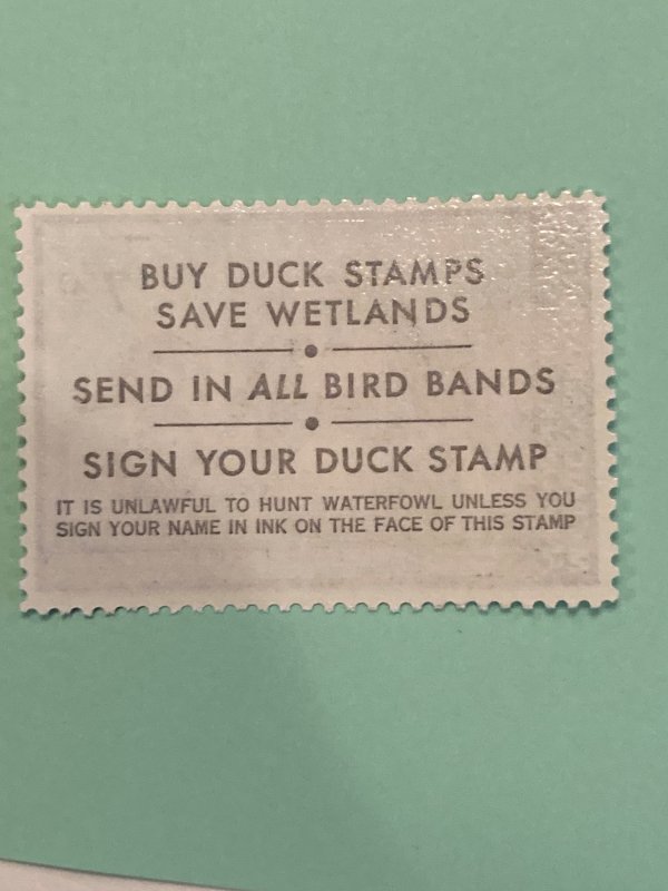 Duck Stamp RW46 mint never hinged 1979