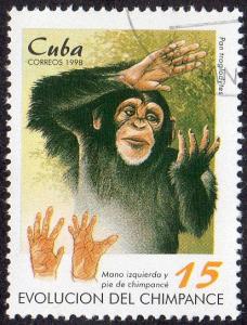 Cuba 3920 - Cto - 15c Chimp / Hand / Foot (1998)