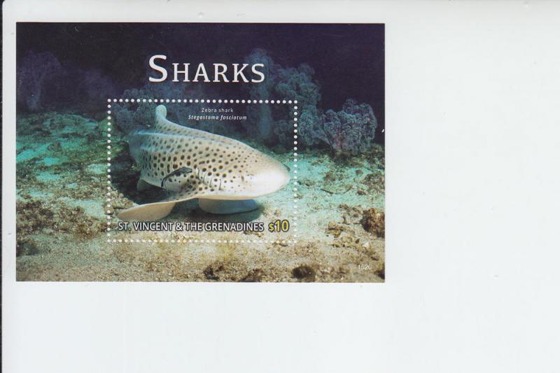 2015 St Vincent & Grenadines Zebra Sharks II SS (Scott 4043) MNH