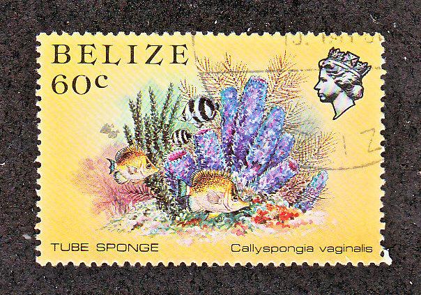 Belize Scott #709 Used