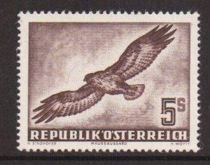 Austria  #C58  MNH 1953  Air  birds 5s  buzzard