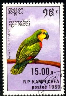 Bird, Parrot, Cambodia stamp SC#943 used